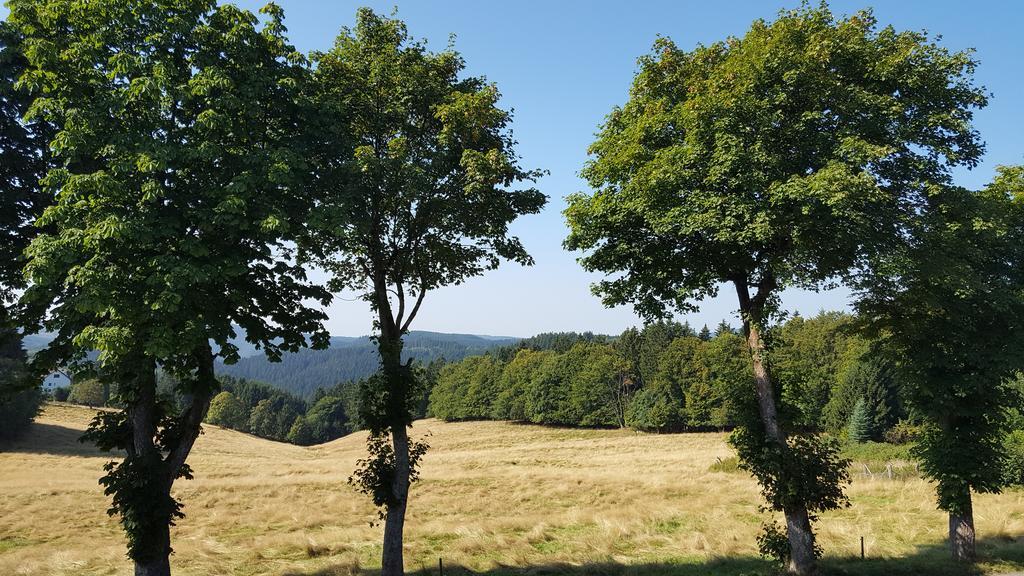 Hotel Pension Fernblick Sankt Andreasberg Esterno foto